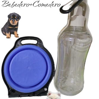 Correa para perros con literna