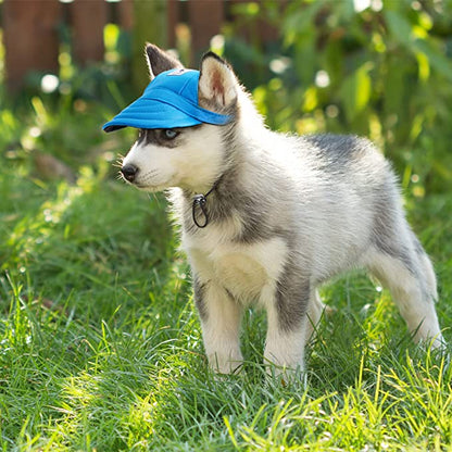 Gorra para mascotas