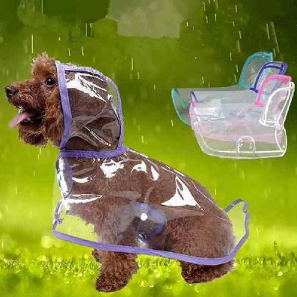 Impermeable perro verde