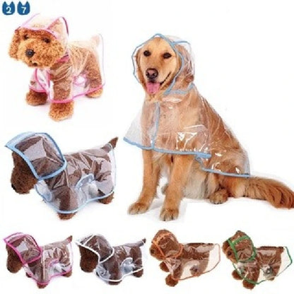 Impermeable perro verde