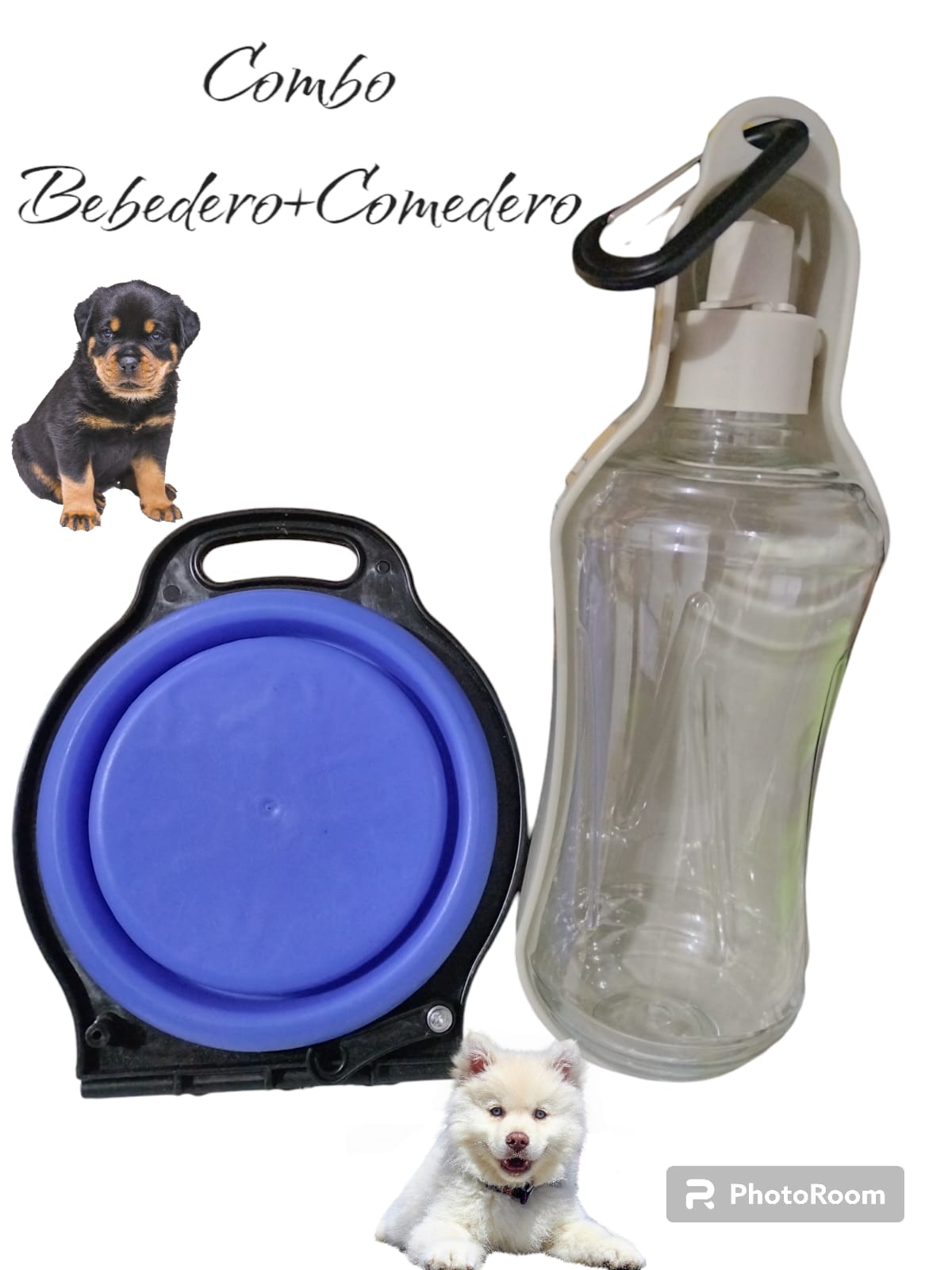 Correa para perros con literna