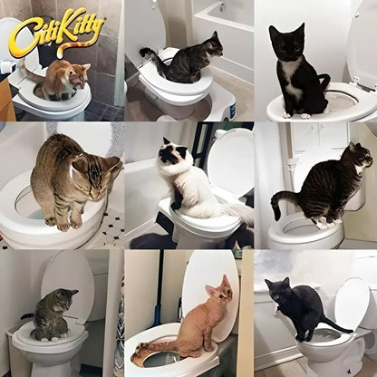 Kit entrenamiento de baño gatos
